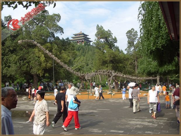 中国·yl9193永利(集团)·官方网站|Officials Website