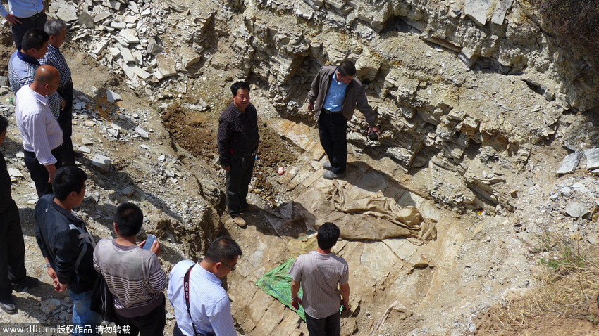 中国·yl9193永利(集团)·官方网站|Officials Website